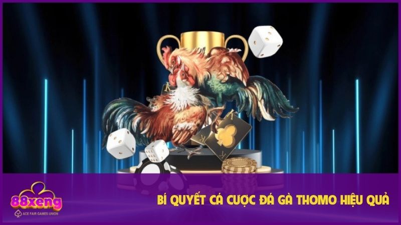 Đá gà Thomo Xeng88 - Trải nghiệm kịch tính và bí quyết cược thắng lớn 3 Bí quyết để tân thủ tham khao khi cược
