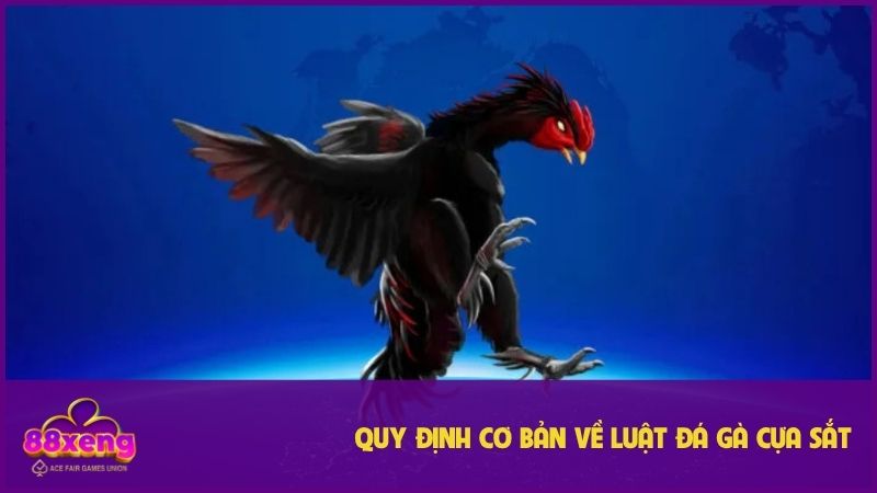 Đá gà cựa sắt Xeng88: Thách thức đấu trường, thắng lớn 2 Cần nắm luật cơ bản trước khi cược trong bộ môn này