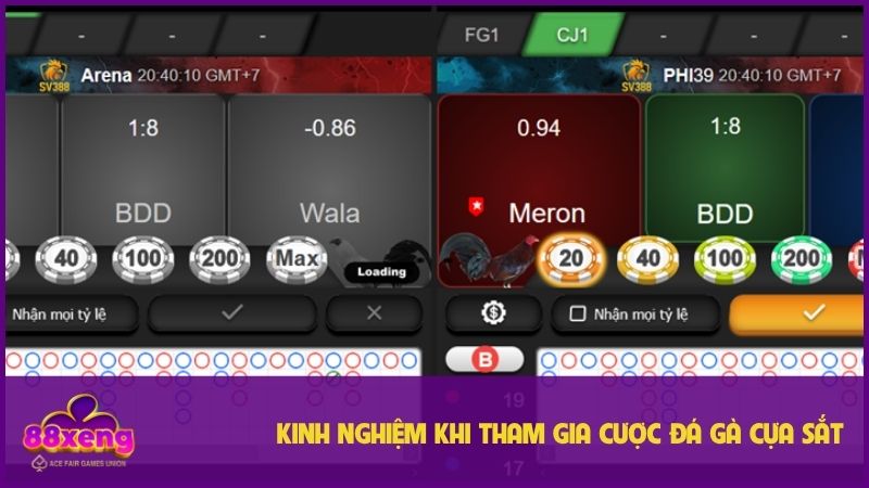 Đá gà cựa sắt Xeng88: Thách thức đấu trường, thắng lớn 3 Một vài mẹo chọn chiến kê trong đá gà cựa sắt
