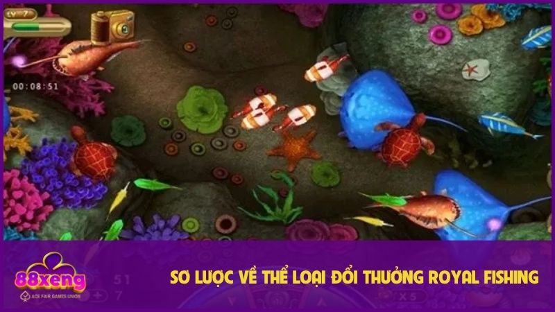 Loại hình được nhiều ngư thủ đánh giá 5 sao