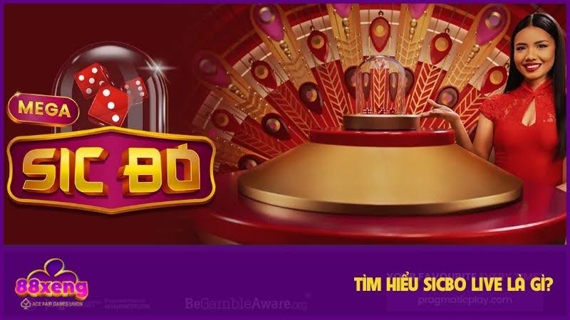 Sicbo Live mang lại trải nghiệm chân thực 