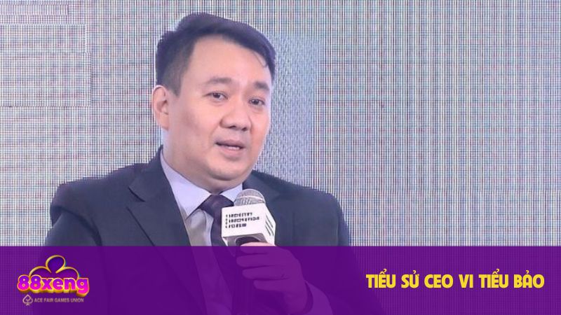 Hồ sơ cá nhân của CEO Vi Tiểu Bảo