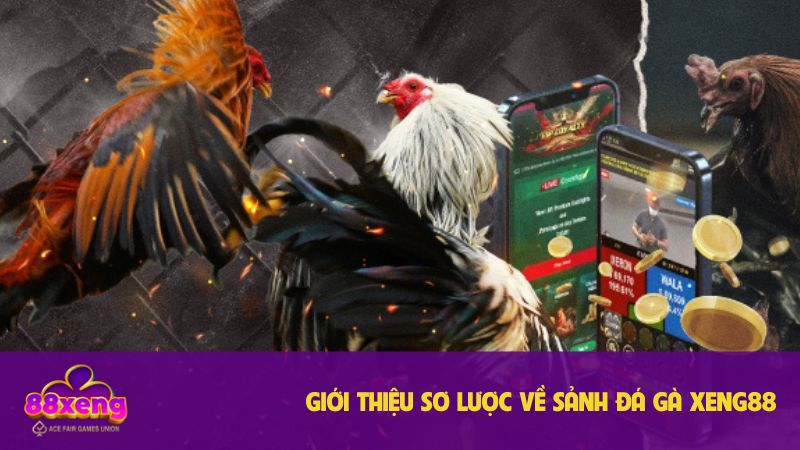 Sơ bộ sảnh đá gà Xeng88