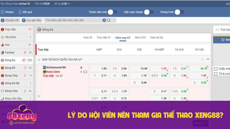 Nhiều lợi ích khi cá độ thể thao tại cổng game 